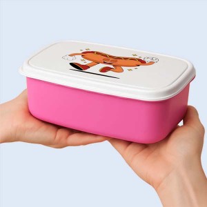 LUN.BOX.PUR.001.jpg