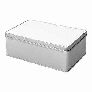 SUB.TIN.REC.001.jpg